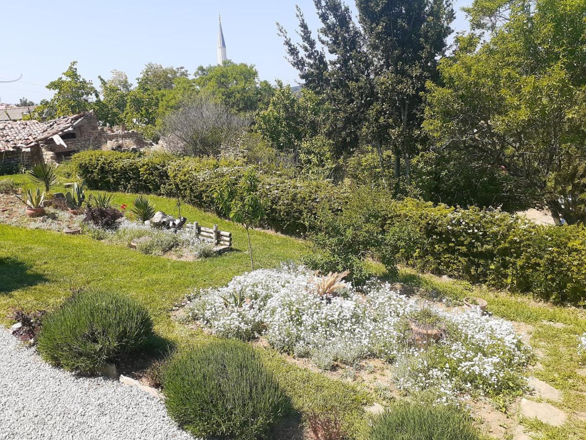 The Gallipoli Houses เอเจลบัท ภายนอก รูปภาพ