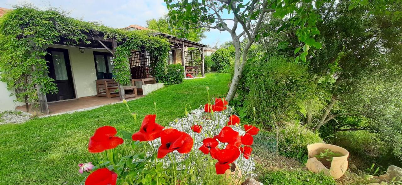 The Gallipoli Houses เอเจลบัท ภายนอก รูปภาพ